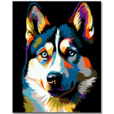 Paint by Numbers Siberian Husky Exclusive Art Set From Us